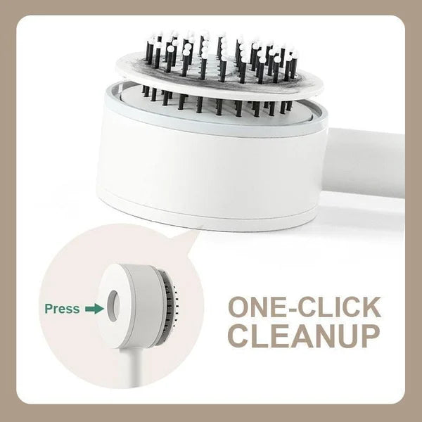 3D Air Cushion Massage Brush (Self Clearing)